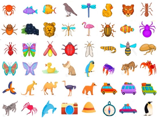 تمارين تيس:دروس وتمارين  الرياضيات للصف الابتدائي 